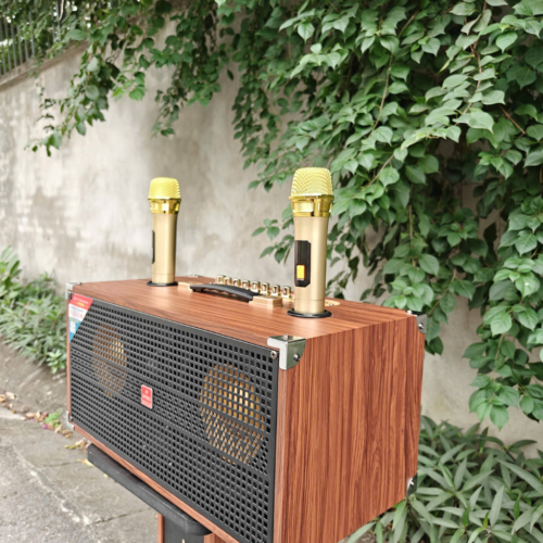 Loa xách tay Ontekco TX262 , 2 bass 16 kèm 2 micro không dây 7 Thiet ke chua co ten 13 1