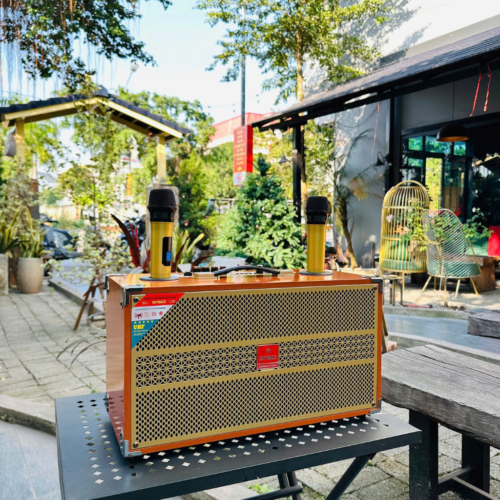 Loa xách tay karaoke Ontekco 2652 Gold ,2 bass 16 kèm 2 micro không dây 2 Thiet ke chua co ten 20 1