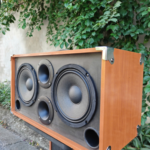 Loa xách tay karaoke Ontekco 2652 Gold ,2 bass 16 kèm 2 micro không dây 6 Thiet ke chua co ten 25 1