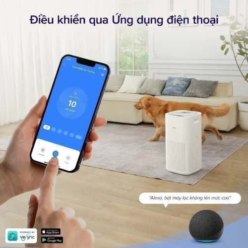 vn 11134201 7r98o lyklgs7ylm4tcf