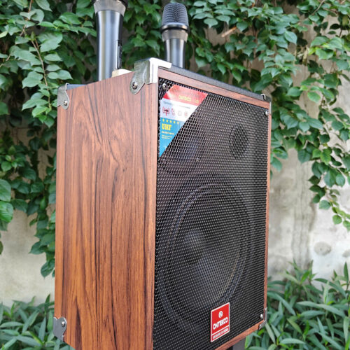 Loa xách tay karaoke Ontekco TK-V2 bass 20 kèm 2 micro không dây 1 z7263173824167 11095f9f6502b685ba86d06d5b7d44da