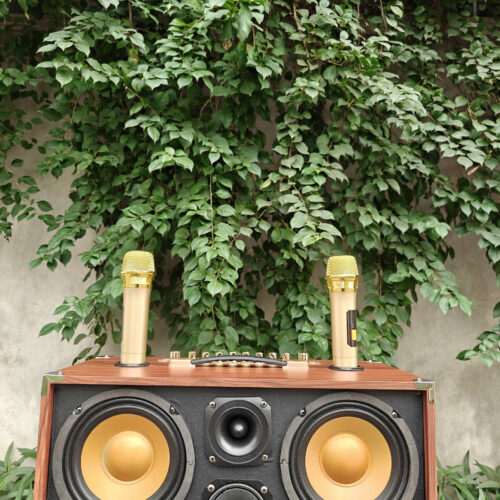 Loa xách tay Ontekco TX262 , 2 bass 16 kèm 2 micro không dây 1 z7311381096489 394a9cdf28b39e2b521a74829f6b9247